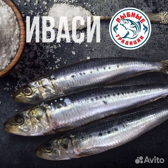 Камбала азовская