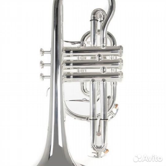 Корнет Roy Benson CR-302S