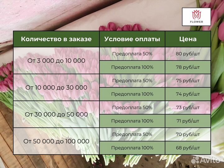 Тюльпаны напрямую от производителя / Предзаказ