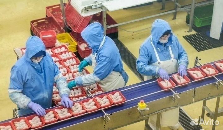 Заготовщик мяса птицы/вахта проживание Саратов