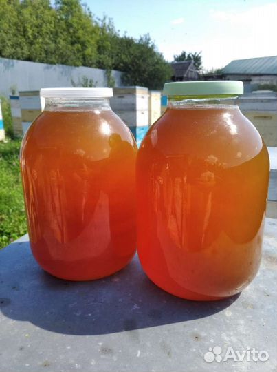 Мед пчелиный