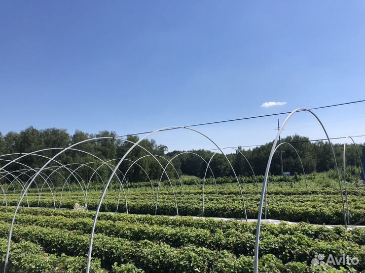 Земляничное пюре (замороженное)