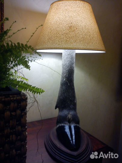 Охотничьи трофеи