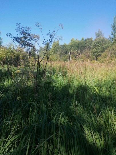 Участок 15 сот. (СНТ, ДНП)