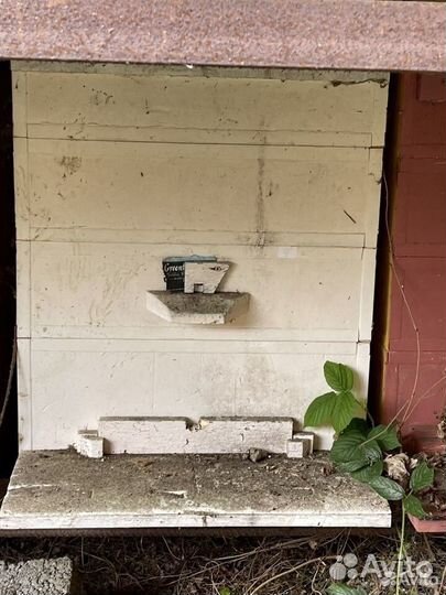 Ульи, улики, лежаки