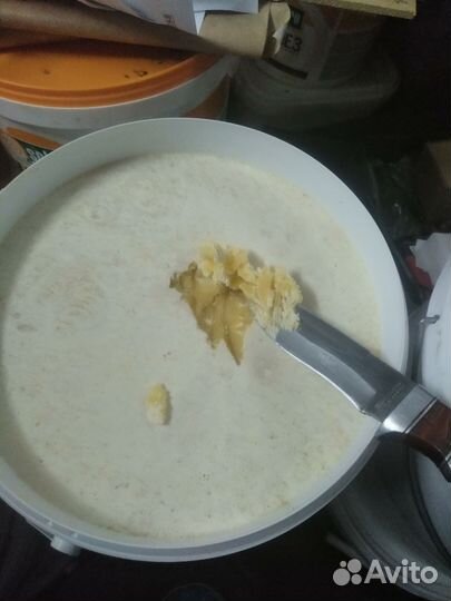 Продам мед оптом