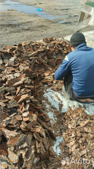 Кора сосновая