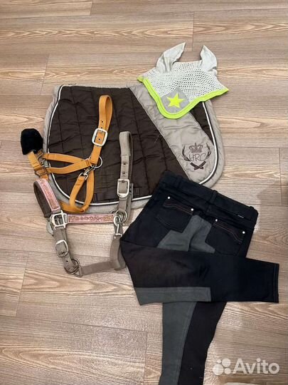 Амуниция для лошадей