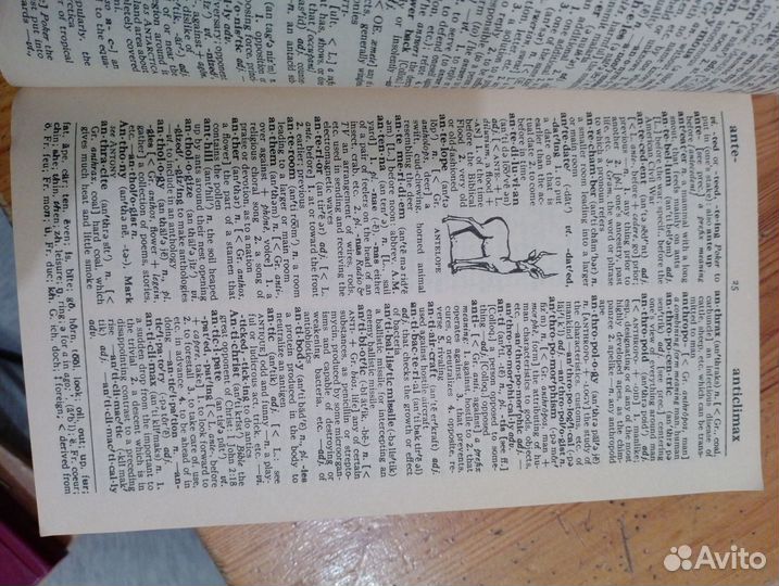 Словарь американского языка Websters