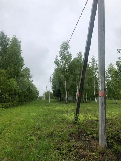 Участок 40 сот. (СНТ, ДНП)