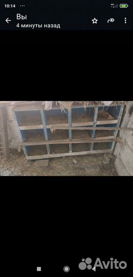 Гнездо для кур