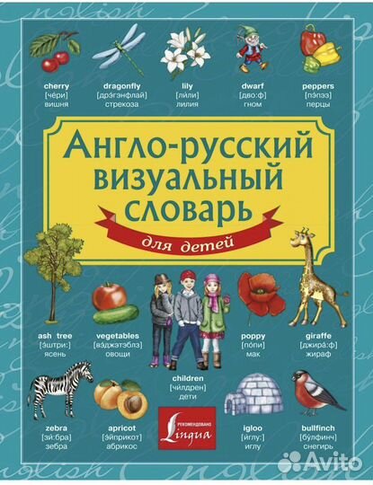 Англо-русский словарь