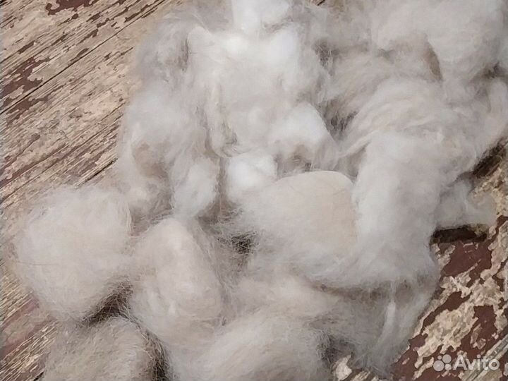 Шерсть собачья