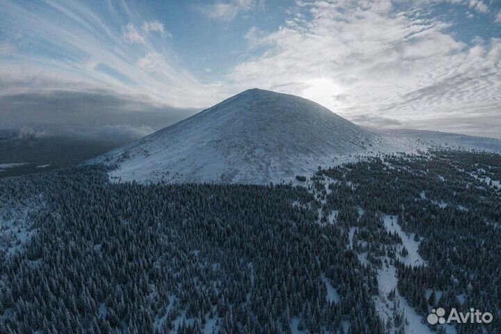 Право соучредителя