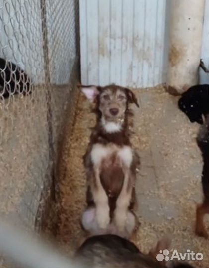 Заметь меня пожалуйста