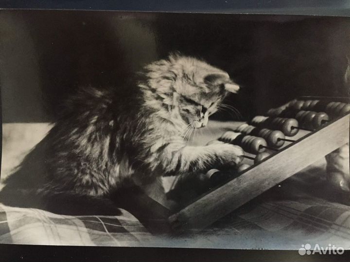 Набор фотокарточек СССР Изогиза Москва 1956