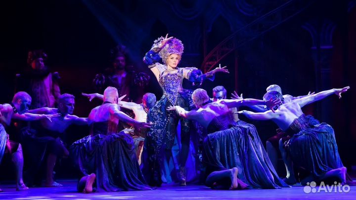 Билеты на мюзикл 