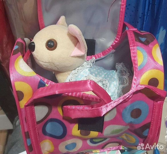 Чичилав Собачка