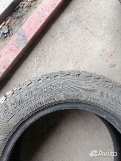 Cordiant Polar SL 185/65 R14