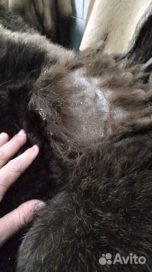 Ковер медведя искусственный