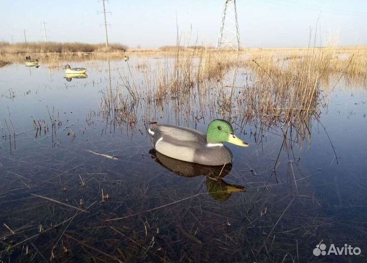 Подсадные утки (пластик)