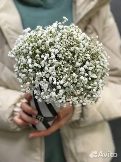 Букет из гипсофилы с доставкой