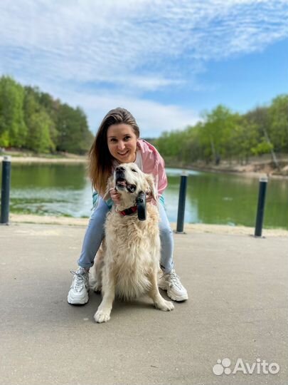 Передержка домашних животных Зоогостиница