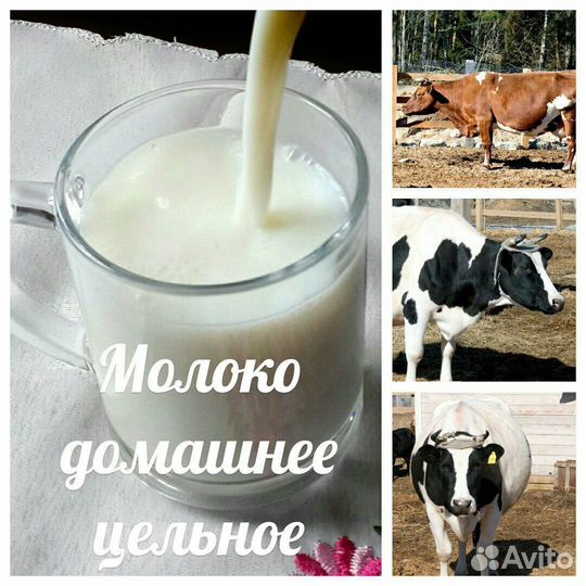 Молоко коровье домашнее