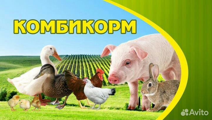 Комбикорма,зерно,сопутствующие товары