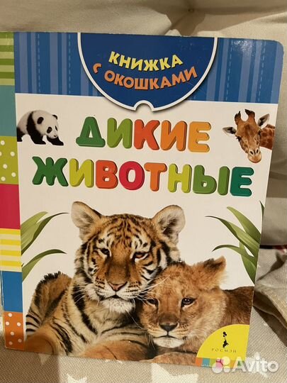 Книжки с окошками