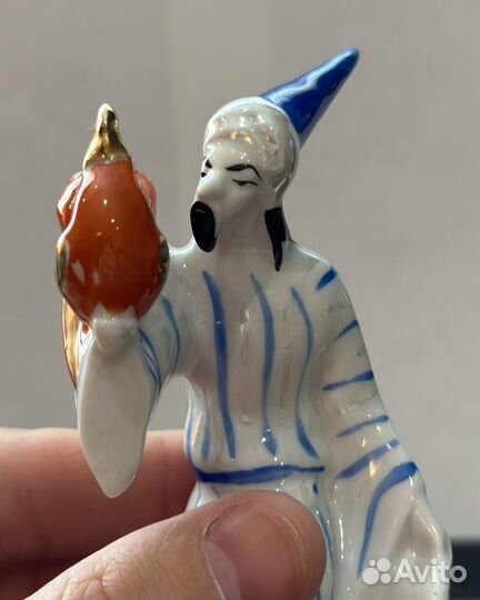 «Звездочет»Краснодар