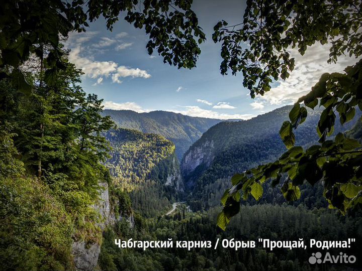 Экскурсия — Сочи — Через Гагру на озеро Рица