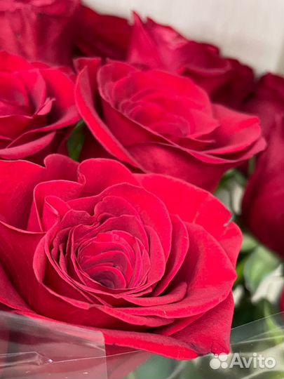 Гигантские розы 100-140 см с доставкой