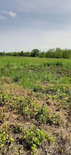 Дом 59,4 м² на участке 30 сот.