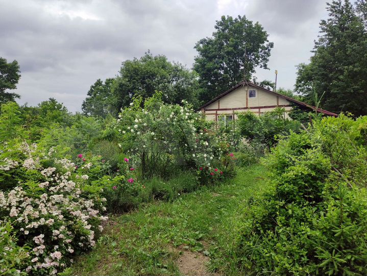 Дом 77 м² на участке 1,1 га