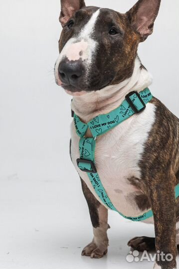 Стропы с логотипом на заказ, печать на лентах