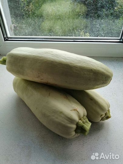 Крыжовник, кабачки