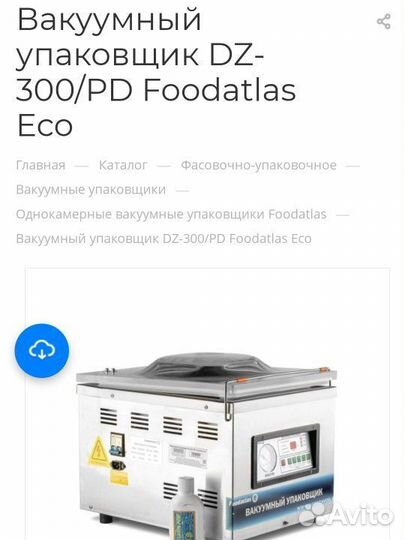 Вакуумный упаковщик DZ-300/PD Foodatlas