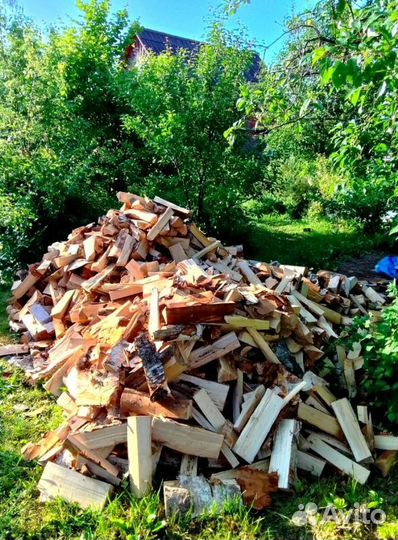 Дрова Береза