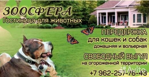 Уход за животными с проживанием