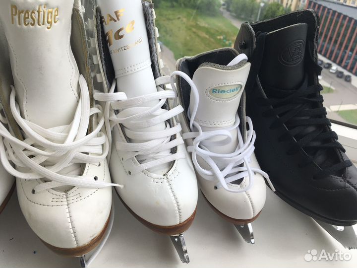 Коньки фигурные Risport, Wifa, Jackson