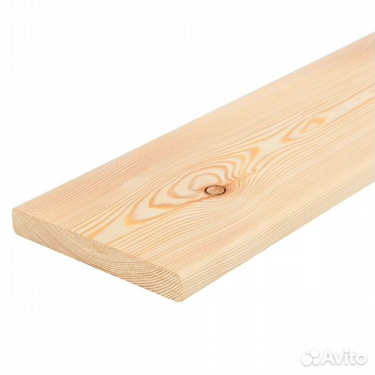 Планкен прямой хвоя