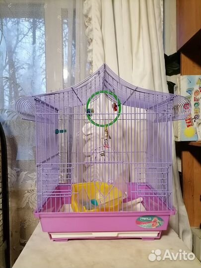 Клетка для птиц бу