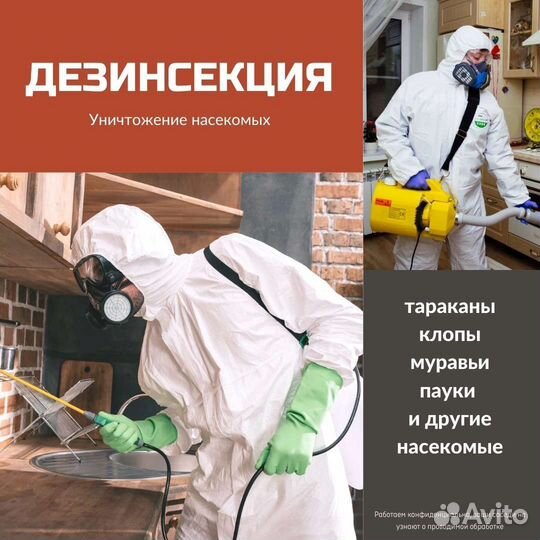 Уничтожение насекомых, запахов, плесени, борщевика