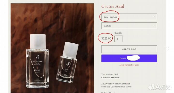 Cactus Azul Fueguia 1833