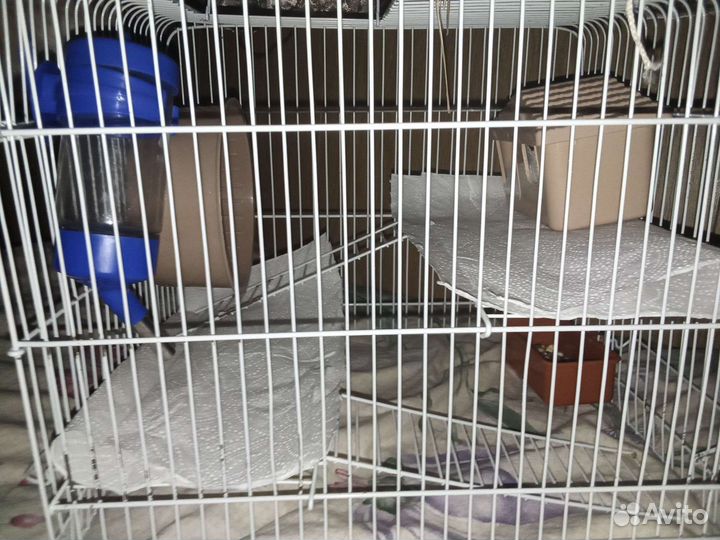 Клетка для грызунов