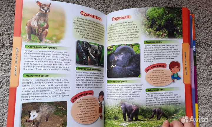 Детская энциклопедия новая