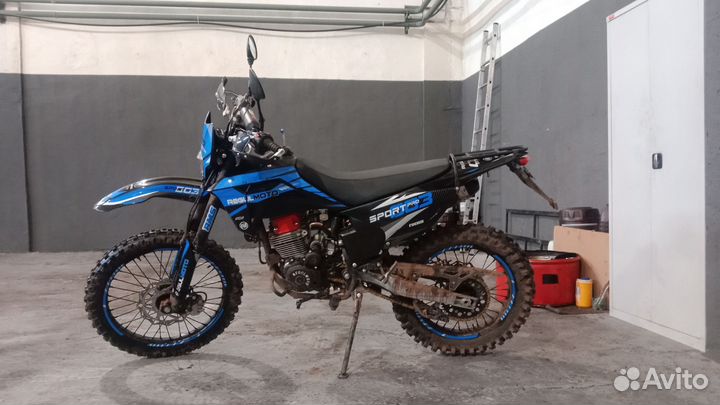 Регульмото спорт 003 про 2024