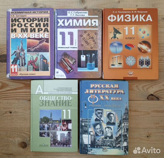 Учебники за 11 класс, физ-ка, химия, лит-ра