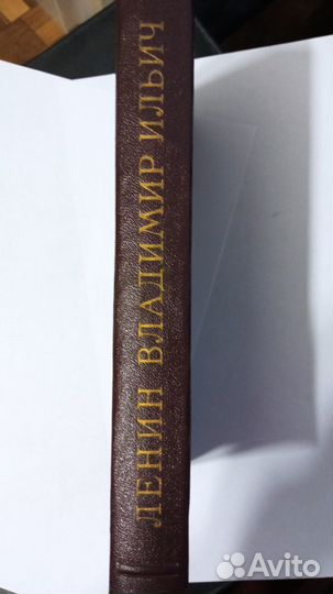 Биография Владимира Ильича Ленина